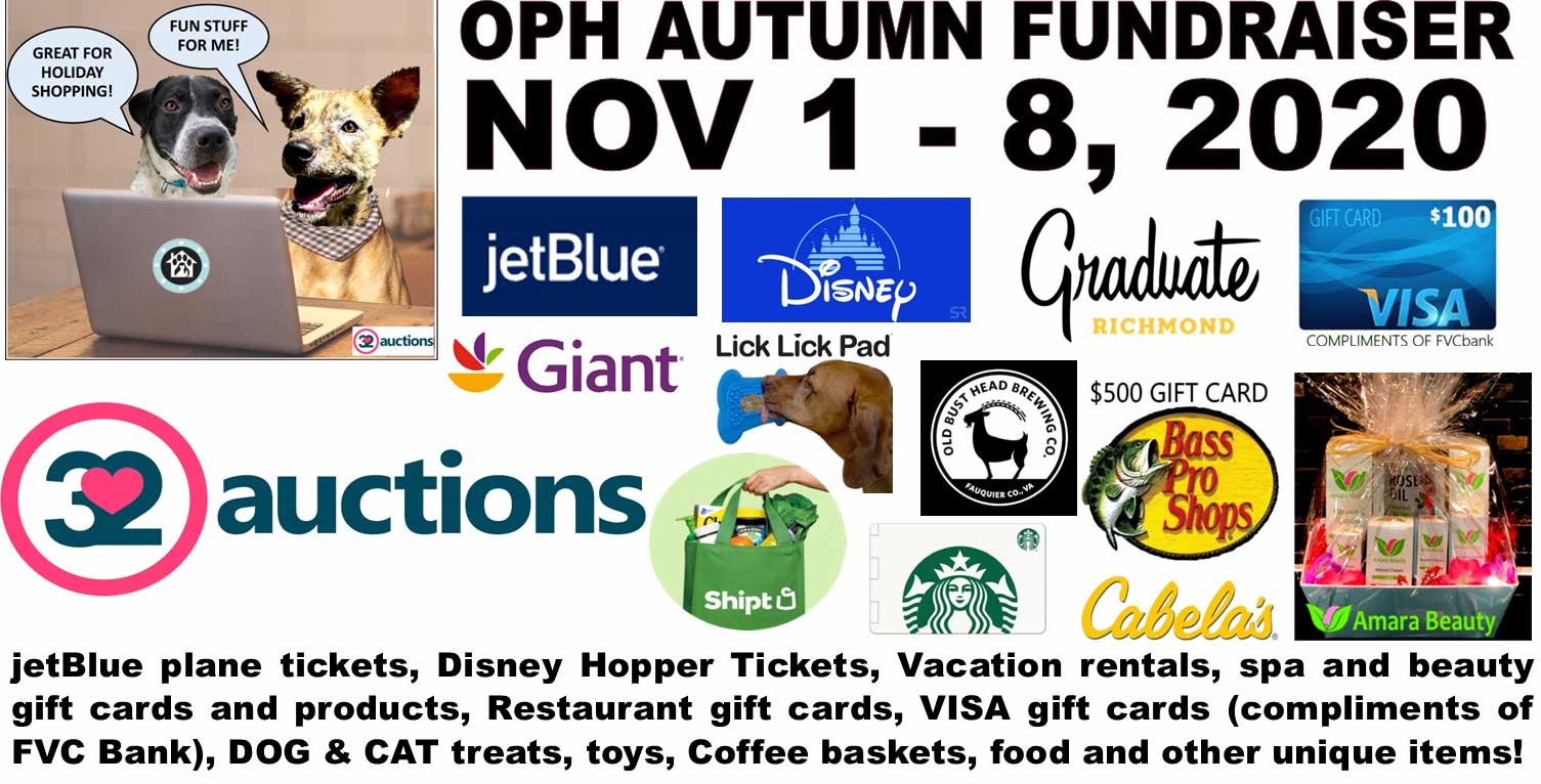 Operation Paws For Homes | All Breed Dog And Cat Rescue In Virgina ...