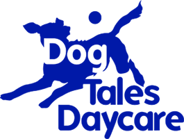 Dog Tales Daycare